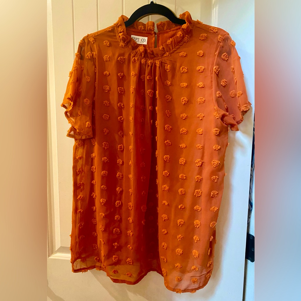 Nwot Rusty Orange Boutique Brand Swiss Dot Top